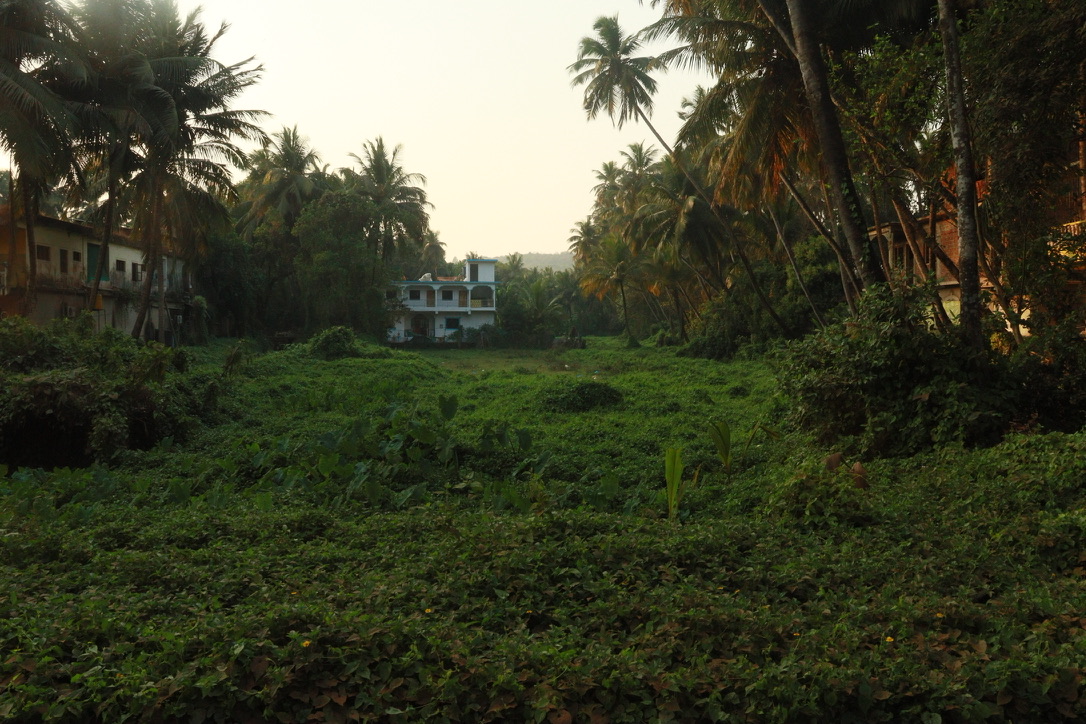 Photo placeholder for Goa