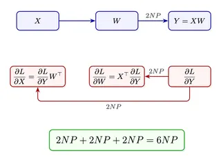 Where does the 6NP rule come from?