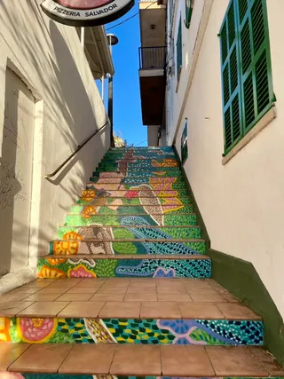 Photo placeholder for Palma